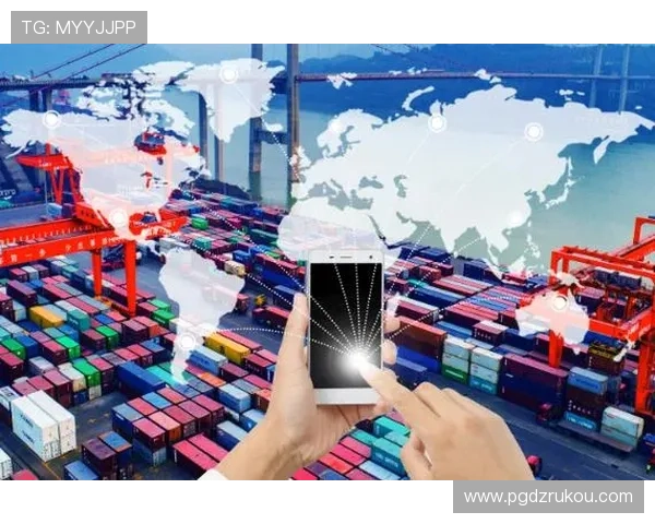 PG国际人平台推动跨国人才流动促进全球经济一体化发展