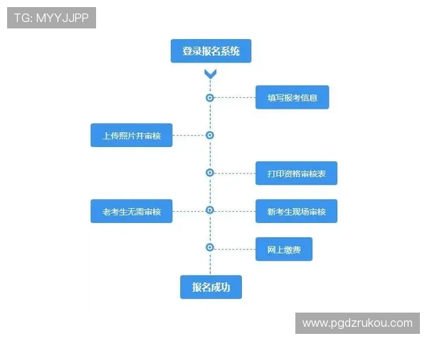 PG官网官方网站功能特色全面解析及操作流程指南