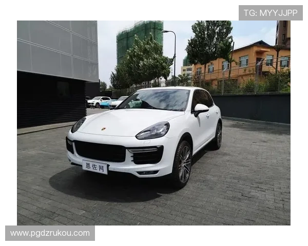 保时捷pg娱乐官网下载举办线上线下融合的促销活动，提升品牌影响力和客户粘性