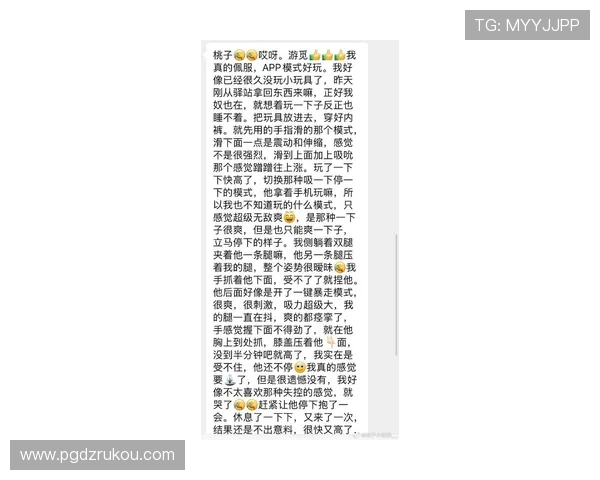 深入分析PUPG国际体验版的最新更新内容与玩家真实反馈