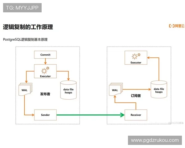 详解PG官方下载流程，帮助新手用户快速掌握数据库软件的下载安装步骤