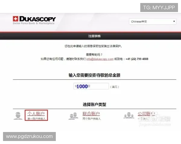 PG炼金工坊电子全站开户成功后如何进行账号管理与个性化设置的实用技巧
